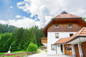 Ferienwohnung Birgit Schonach Im Schwarzwald